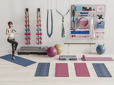 Woman Doing Fitness Workout With Yoga Mats Dumbbells Resistance Bands Step Platform And Exercise Balls 3d model