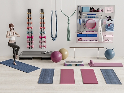 Yoga Equipment SU Model 3d model