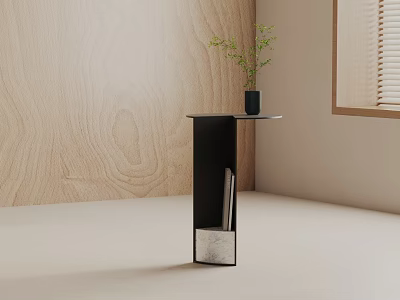 Black Side Table With Round Top Storage Space Storing Books Near Potted Plant Wooden Wall Window 3d model