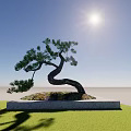 Unique Shaped Arbor Tree on Stone Base Under Bright Sun With Green Grass 3d model