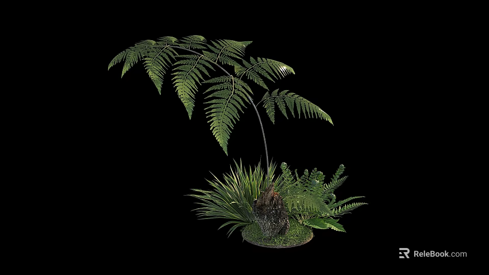 Various Lush Green Ferns And Garden Plants With Natural Stone Base 3d model 