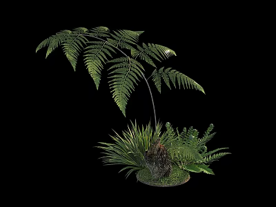Various Lush Green Ferns And Garden Plants With Natural Stone Base 3d model