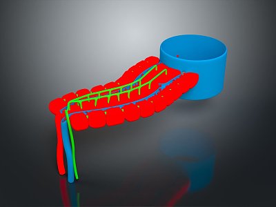 eukaryotic cell cross section cell structure cell tissue anatomy organ human organ 3d model