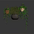 Decorative Hanging Plant Pots With Trailing Green Vines And Leafy Shrubs