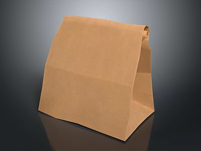 Brown Paper Bag Eco Friendly Reusable Grocery Shopping Storage Container 3d model