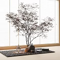 Indoor Landscape Featuring Red Leaf Tree Against White Blinds With Stone Lantern And Mat