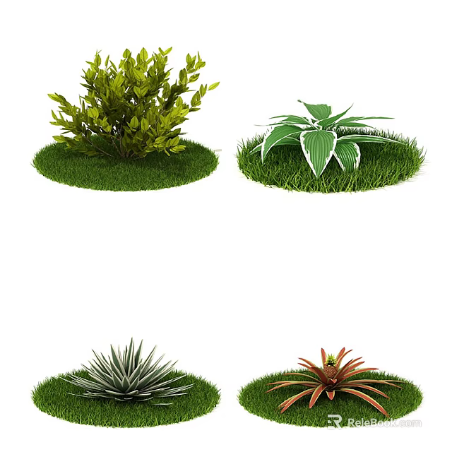 Various Decorative Garden Shrubs With Different Leaf Shapes On Green Grass 3d model