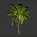 Tall Curved Palm Tree With Green Leaves And Brown Trunk On Gray Background