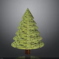 Green Layered Decorative Plant with Tree Like Structure and Textured Surface