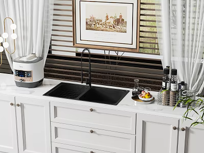 Modern Kitchen With Black Sink White Cabinets Faucet Countertop Rice Cooker Fruit Plate Spice Bottles 3d model