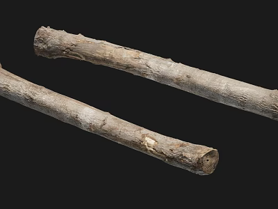 Natural Stone And Rustic Wood Logs With Rough Organic Texture For Decor Projects 3d model
