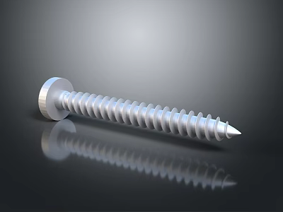 Durable Metal Screw Hardware Tool With Sharp Point And Threaded Shank 3d model