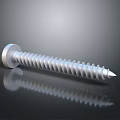 Durable Metal Screw Hardware Tool With Sharp Point And Threaded Shank 3d model