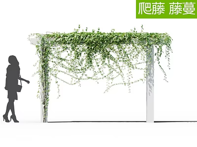 Climbing Green Vines Covering White Metal Pergola in Garden Setting with Silhouette Figure 3d model