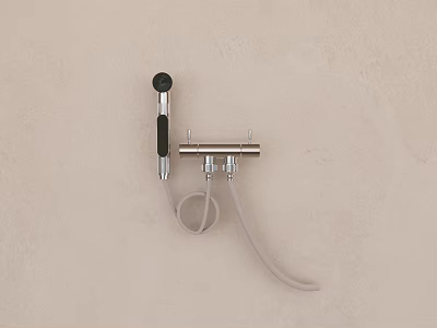 Modern Wall Mounted Handheld Shower Head With Stainless Steel Bracket And Flexible Hose 3d model
