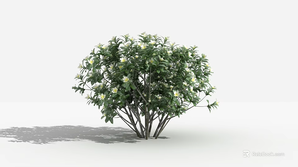 Vibrant Green Bush With White Flowers Lush Foliage And Thick Branches 3d model 
