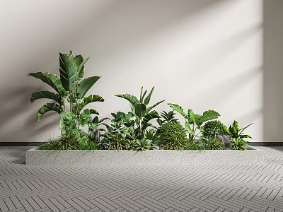 Lush Green Plants with Large Leaves and Ferns Arranged on Indoor Platform Herringbone Floor 3d model