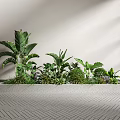 Lush Green Plants with Large Leaves and Ferns Arranged on Indoor Platform Herringbone Floor