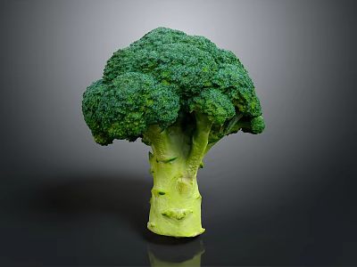 Healthy Fresh Green Broccoli Vegetable with Crisp Stalk and Vibrant Florets 3d model Healthy Fresh Green Broccoli Vegetable with Crisp Stalk and Vibrant Florets 3d model