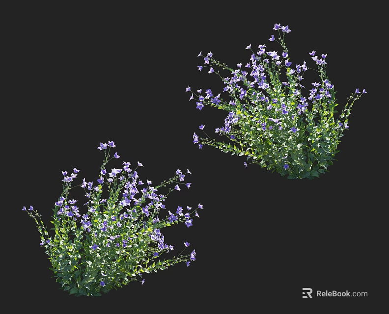 Small Purple Flowers With Green Leaves In Bushes On Black Background 3d model 
