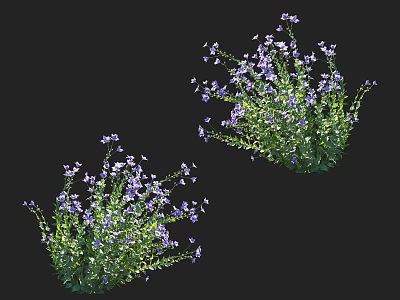 Small Purple Flowers With Green Leaves In Bushes On Black Background 3d model