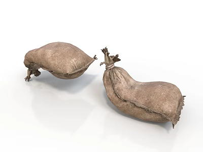 Two Brown Fabric Sacks As Practical Household Supplies With Rope Ties 3d model