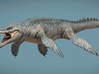 Prehistoric Aquatic Reptile With Sharp Teeth Scaly Body And Flippers 3d model