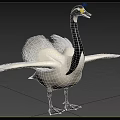 Malta pygmy swan animal creature 3d model