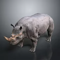 Gray Rhinoceros Sculpture Standing With Textured Skin Single Horn And Dark Background