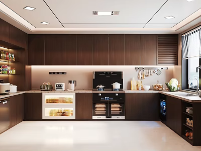 Contemporary Kitchen With Dark Wood Cabinets Built In Oven And Coffee Maker 3d model