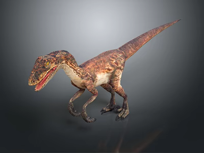 Realistic Velociraptor Dinosaur 3D Model With Detailed Skin Texture Open Mouth Standing On Gray Background 3d model