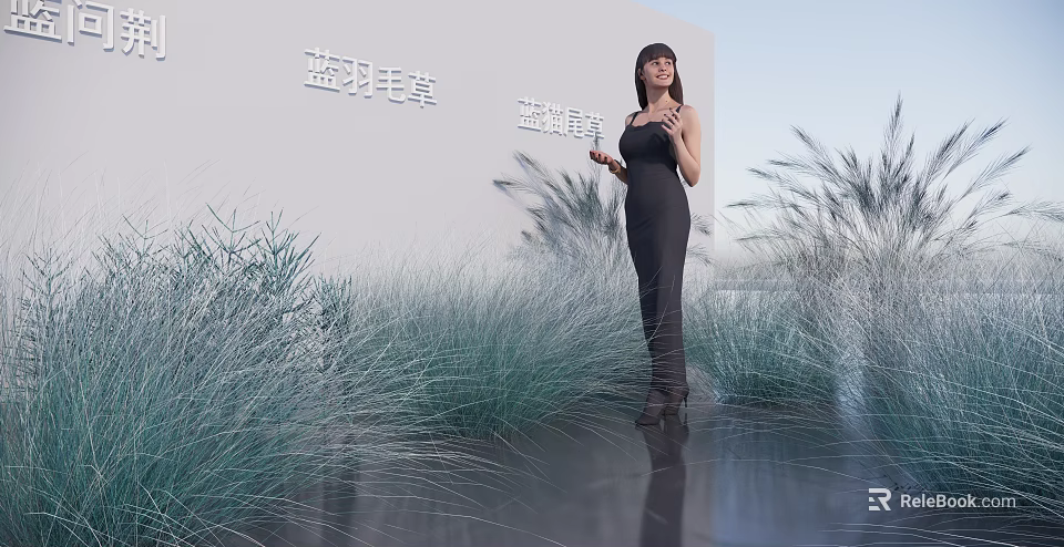 Modern Garden Landscape With Blue Feather Grass Blue Seaweed And Woman In Black Dress 3d model 