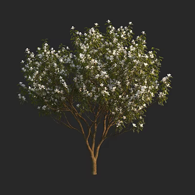 Blooming Arbor With Lush White Flowers Green Leaves And Brown Trunk 3d model