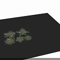 Naturally Growing Green Foliage With Pink Small Flowers Densely Distributed On Grey Background