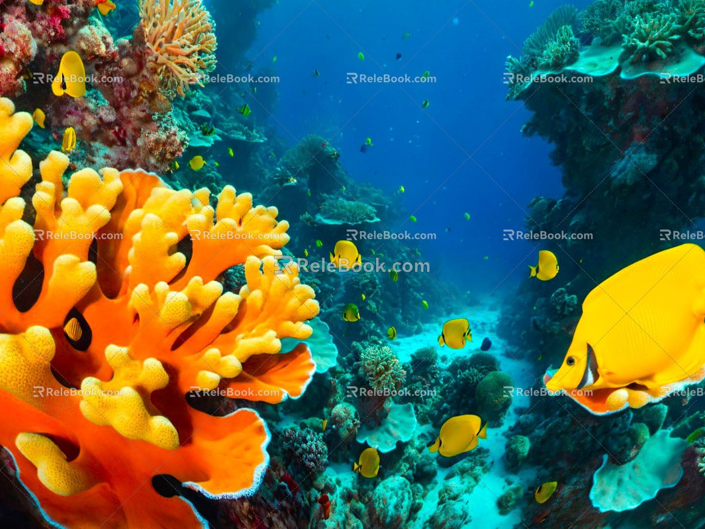 Coral Reef Coral Underwater World Underwater World Marine Animal Fish Sea Fish Animal Game Animal 3d model