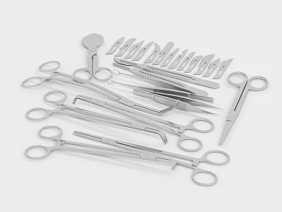 Various Stainless Steel Medical Instruments Like Forceps Scissors And Probes For Surgical Use 3d model