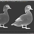 Two Mandarin Ducks With Vibrant Green Purple Blue And White Feathers Standing On Gray Background