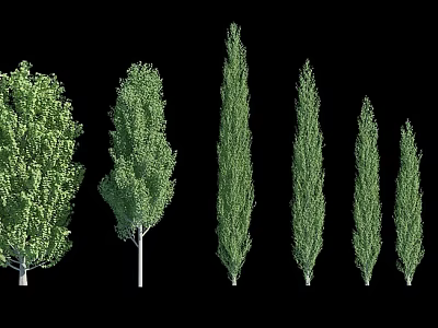 Various Arbor Tree Types with Different Shapes and Growth Sizes 3d model