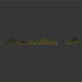 Beautiful Green and Brown Ferns in Multiple Clusters on Black Background