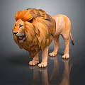3D Rendered Lion With Fluffy Orange Brown Mane Standing On Shiny Surface