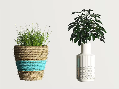 Woven And Ceramic Vases With Blue Stripe Geometric Pattern Green Plants White Flowers 3d model