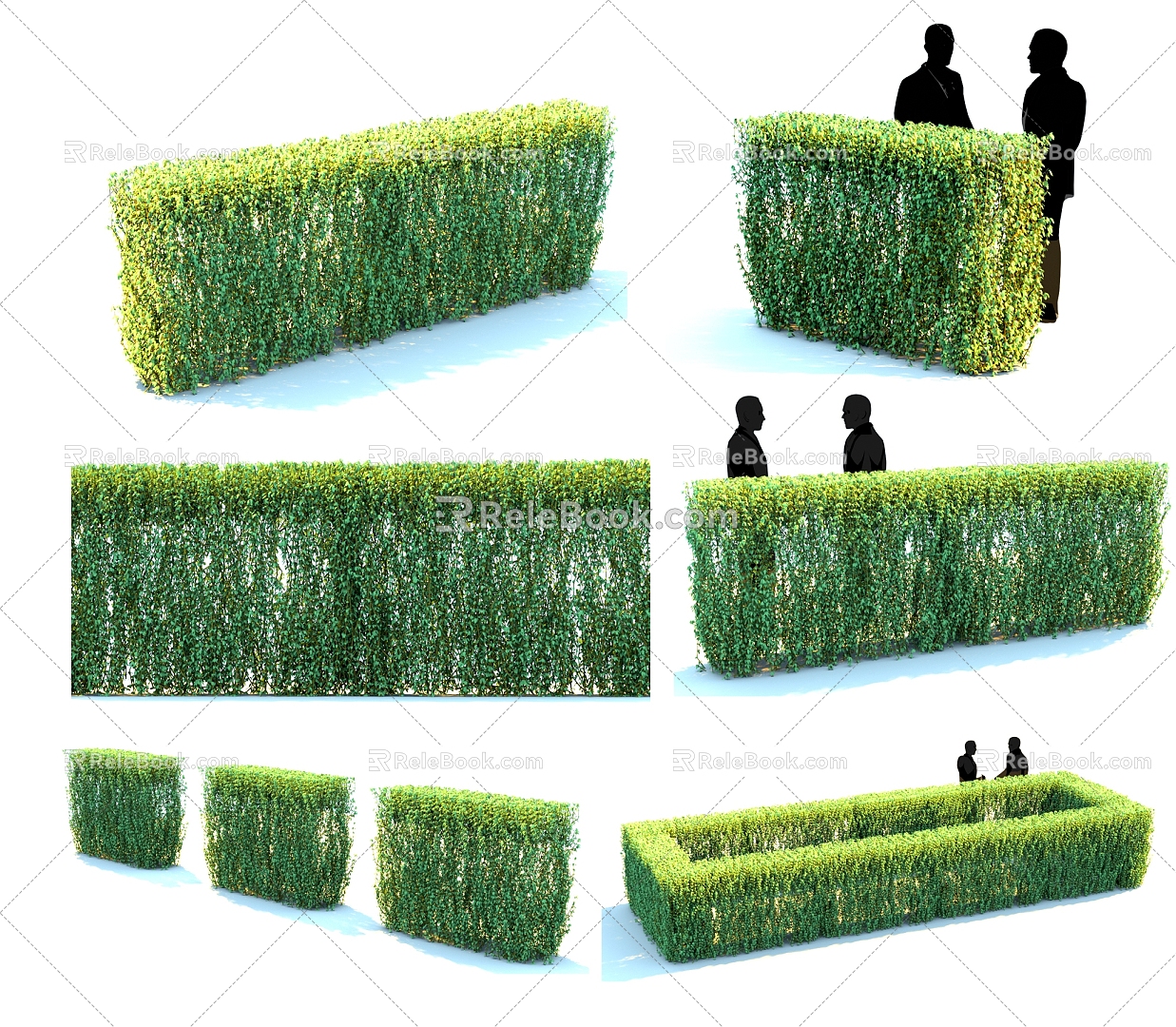 shrub shrub hedge plant flower garden plant garden hedge 3d model