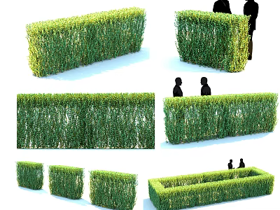 Decorative Shaped Hedges In Various Green Forms For Garden Landscape Design 3d model