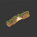 Modern Soil Profile Model With Grass Rock And Tree Roots