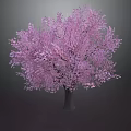 Pink Cherry Blossom Themed Pastry With Floral Decor And Sweet Flavors