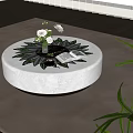 Round White Coffee Table With Flower Book Leaf Pattern On Brown Rug With Plants 3d model
