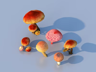 Colorful Mushrooms With Various Sizes And Spotted Caps On Blue Background 3d model
