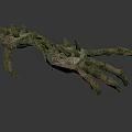 Animal Claw With Spiked Projections And Rough Textured Surface Design