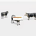 Three Black And White Cows Standing Together Isolated On White Background 3d model