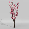 Tree Shaped Art Installation With Pink Blossoms Brown Trunk White Background And Shadow
